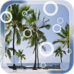 Logo of Beach Palms Live Wallpaper android Application 